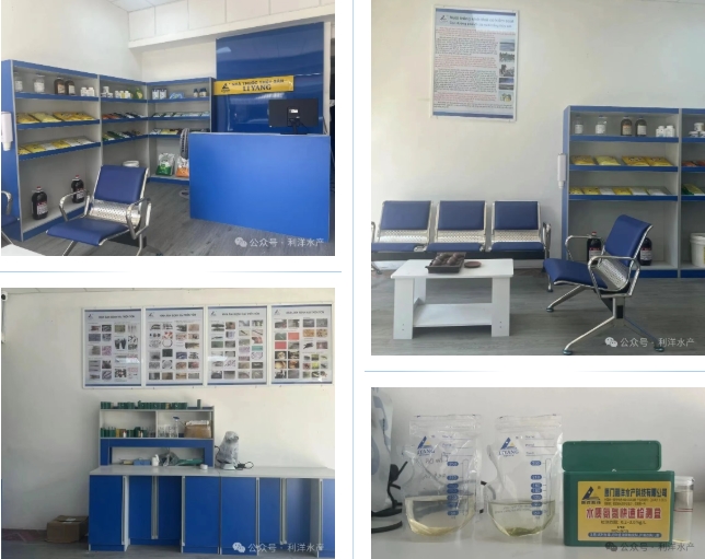 1758878245990415.jpg 10.jpg